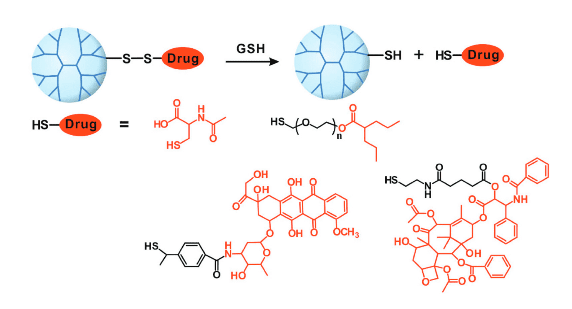 Schematic representation of  dendrimer-drug conjugate with a disulfide linker (Biomater. Sci., 2016).  The drugs used for this application include NAC, valproic acid, doxorubicin and  paclitaxel.